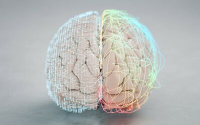 ¿Cómo ha alimentado su mente?