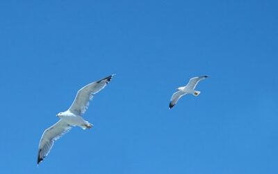 ¿Es posible recomenzar desde cero?